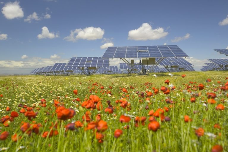 La bondad oculta de los grandes campos fotovoltaicos más allá de la